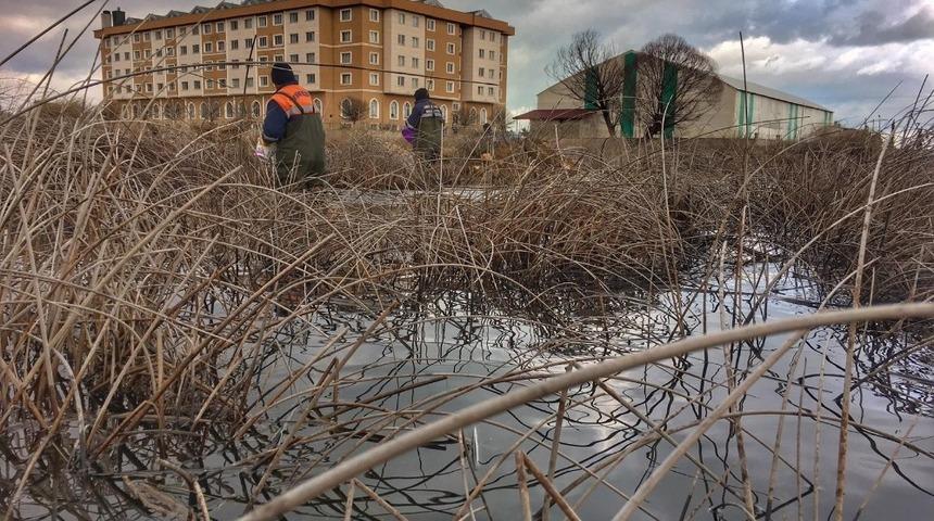 Beyşehir&rsquo;de haşereyle larva d&ouml;nemi m&uuml;cadele ediliyor