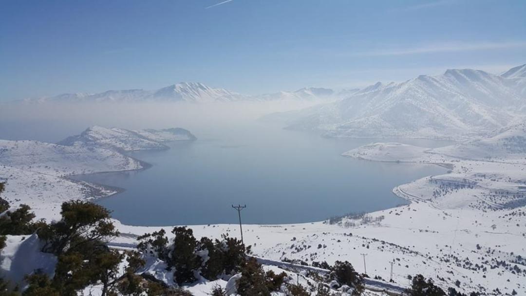 Van&rsquo;da yaban hayvanlarına yem desteği
