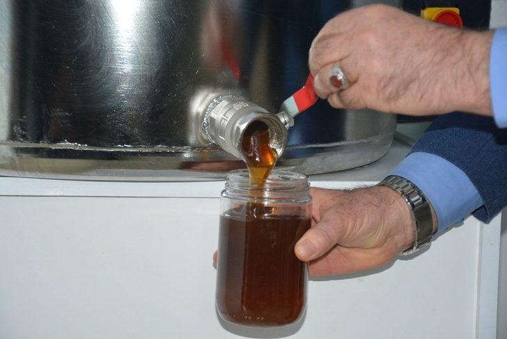 Üniversiteli tavuklar ve arılar, bilim için çalışıyor, kazanç sağlıyor G2