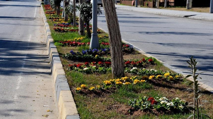 Birecik peyzaj &ccedil;alışmaları g&ouml;z kamaştırıyor