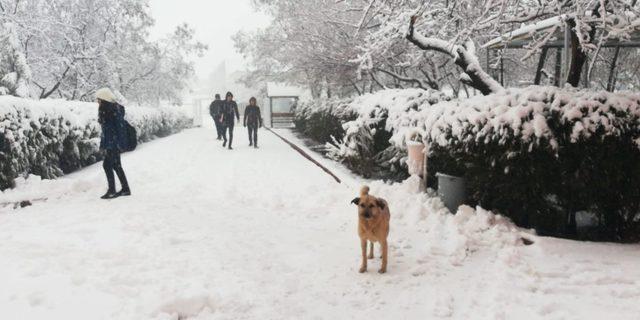 Arguvan’da kar yağışı şiddetini artırdı