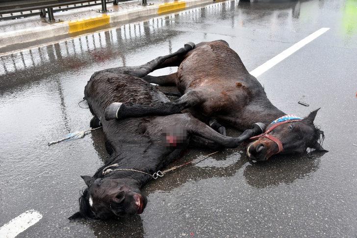 Antalya'da kahreden görüntü! G5