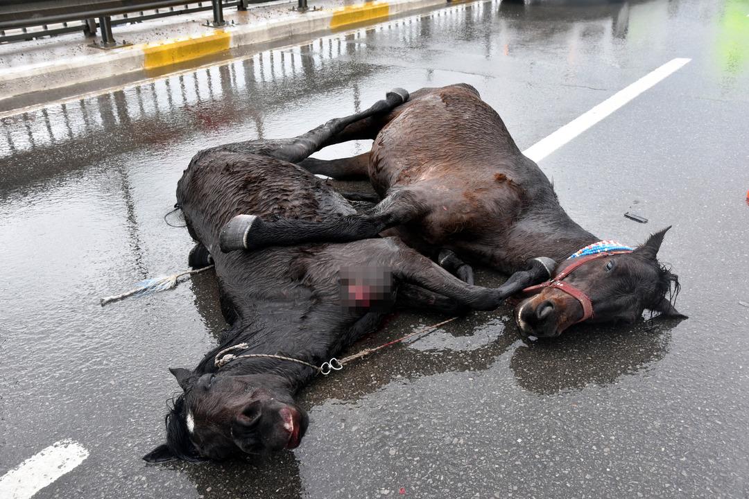Antalya'da kahreden g&ouml;r&uuml;nt&uuml;!