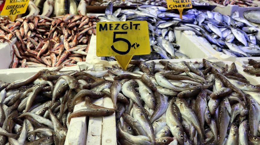  Karadeniz hamsisi Gürcistan'a kaçtı