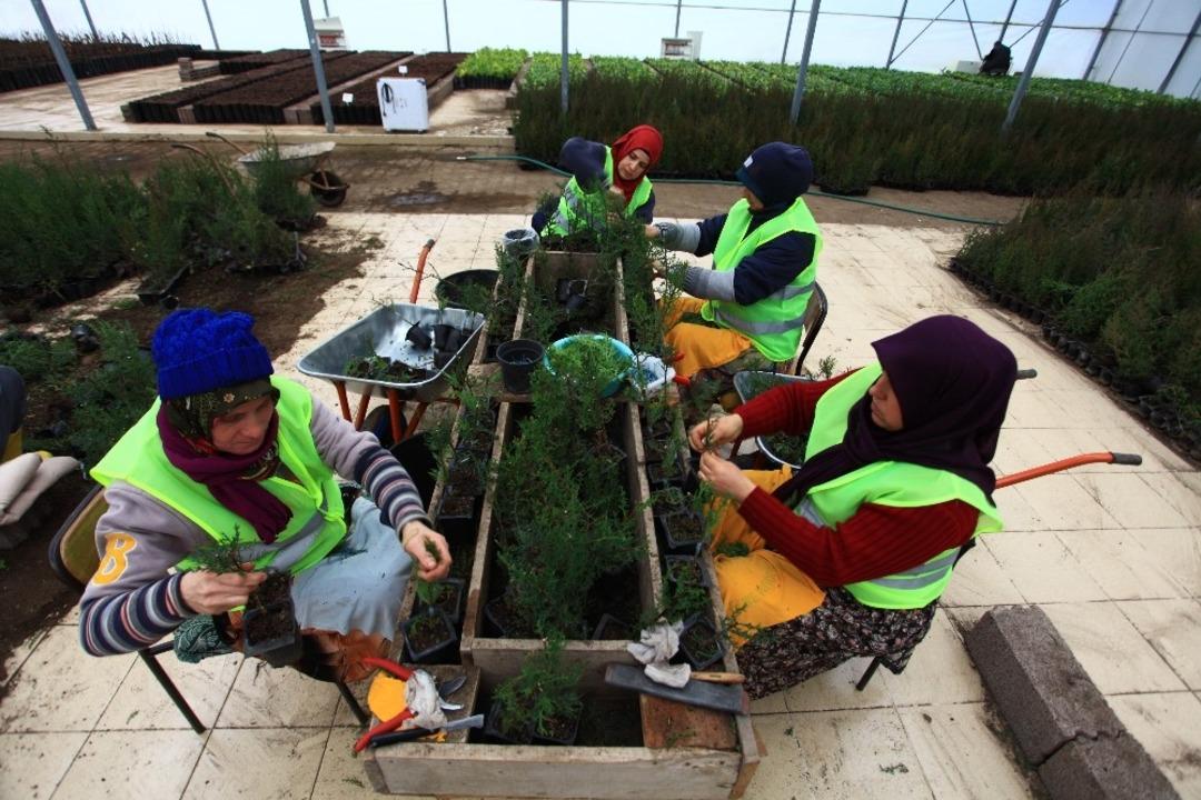 Fidanlara kadın eli değdi