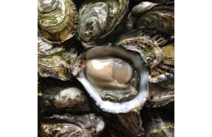 Dünyanın en pahalı 13 yiyeceği G2