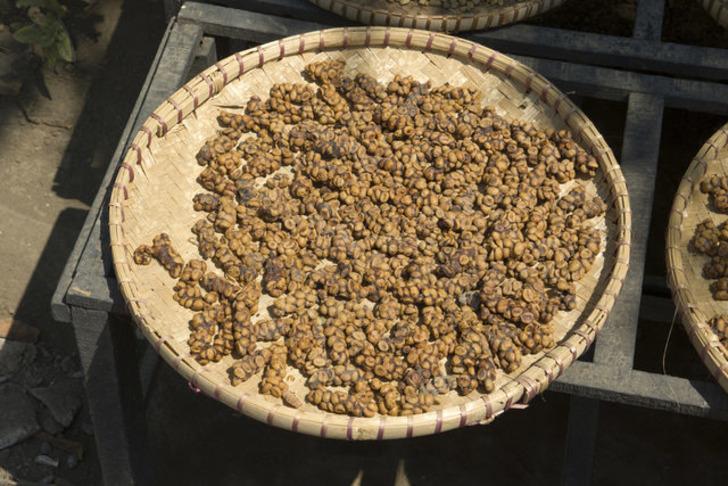 Dünyanın en pahalı 13 yiyeceği G5