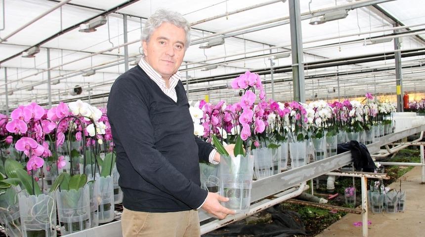 (&Ouml;zel) Sevgililer G&uuml;n&uuml; orkideleri Yalova&rsquo;dan