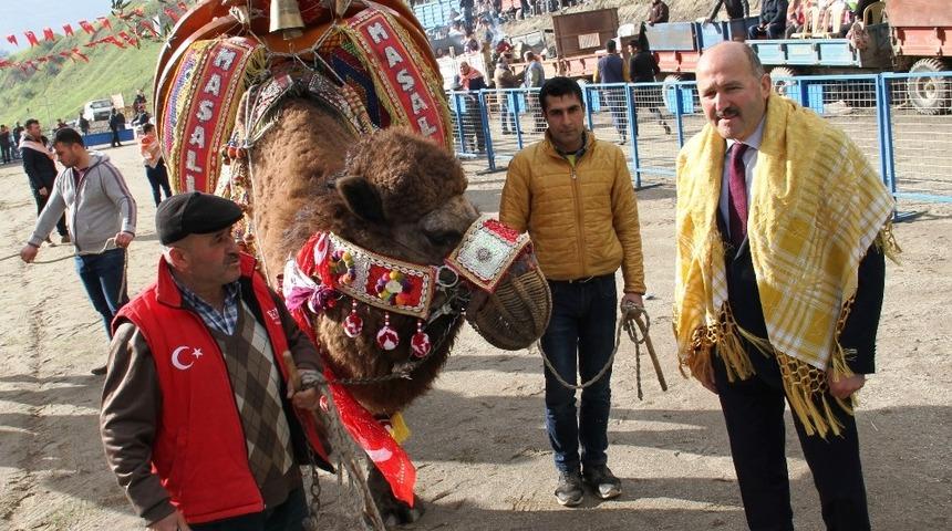 Kuyucak deve g&uuml;reşi ile coşacak