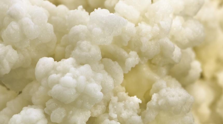 Kansere karşı koruyucu olduğu bilimsel olarak kanıtlandı