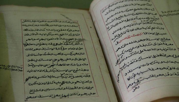 5 kuşak sonra ortaya çıktı! Hepsi sandıkta gizliymiş G2