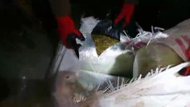Şanlıurfa'da 453 kilo esrar ele geçirildi, 4 kişi gözaltına alındı