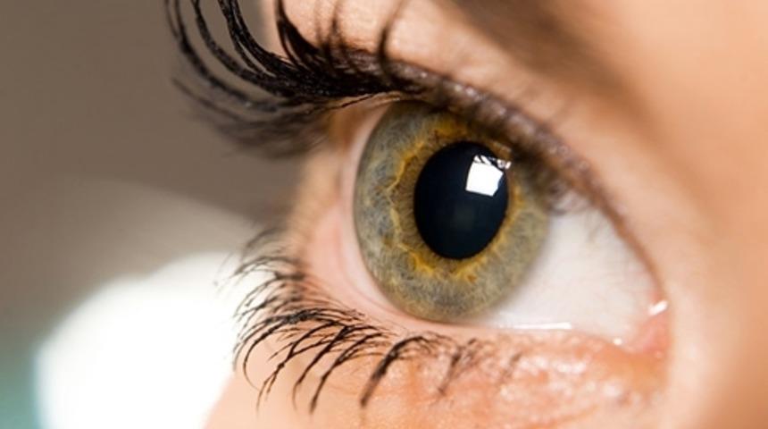 Greyfurtun Faydaları Nelerdir?