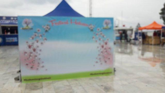 Datça Badem Çiçeği Festivali yağmurla başladı