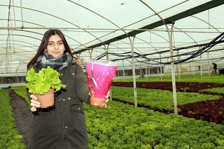 Kıvırcık saksıya girdi G1