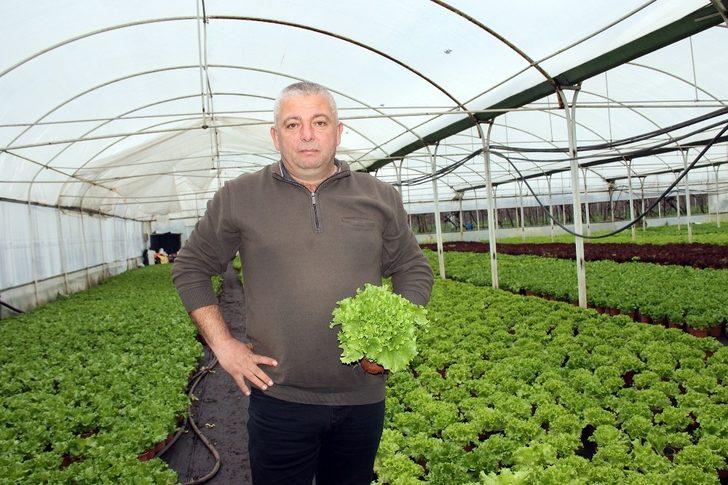 Kıvırcık saksıya girdi G2