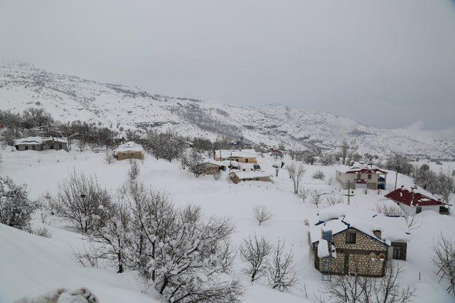 Tunceli’de kar 147 köy yolunu ulaşıma kapattı