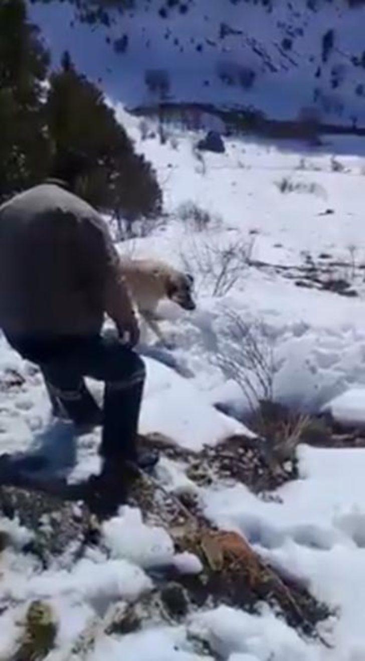 Ayı saldırısından son anda kurtulan 2 avcı, inde sürprizle karşılaştı G5