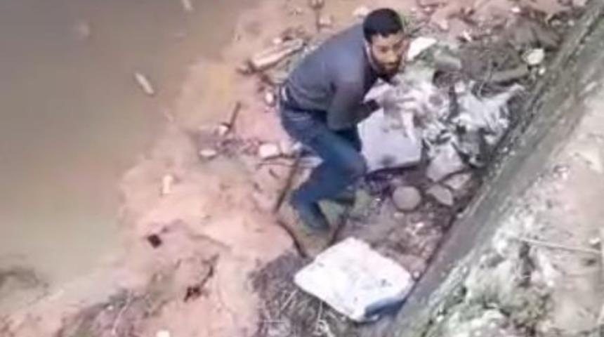 Dereye d&uuml;şen kediyi vatandaş kurtardı