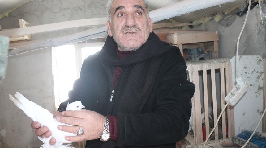 Ağrı&rsquo;da g&uuml;vercinlerini soğuktan elektrikli sobalarla koruyorlar