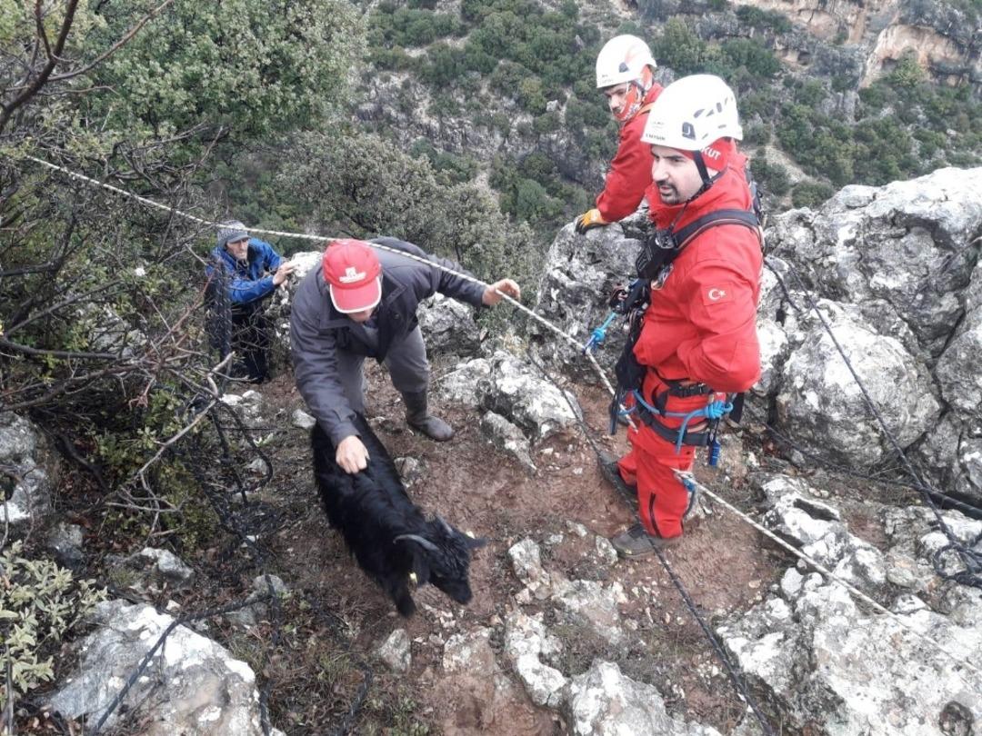 Dağ yamacında 12 g&uuml;nd&uuml;r mahsur kalan ke&ccedil;ileri AKUT kurtardı
