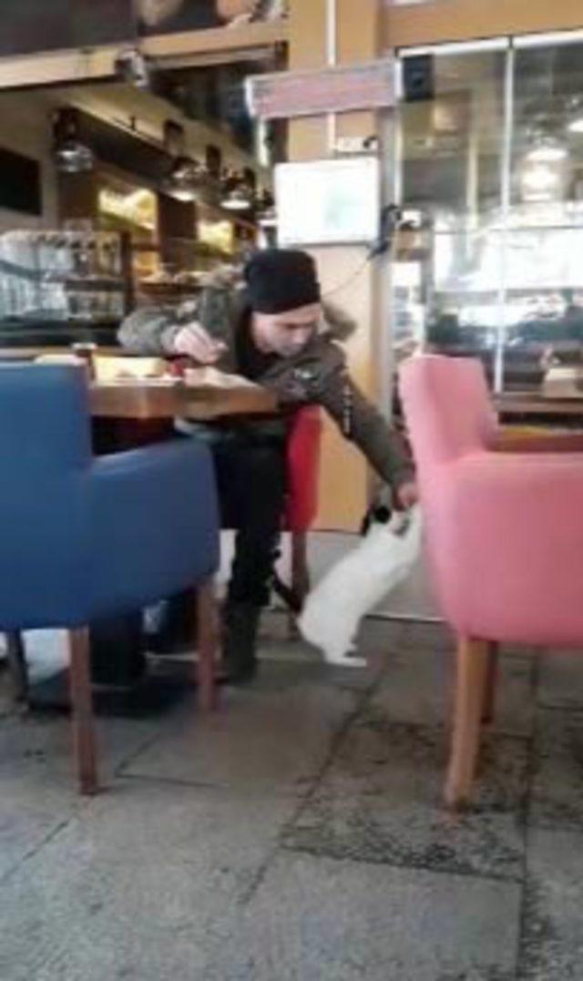 Acıkan kedi, pastanedeki m&uuml;şteriden b&ouml;yle yiyecek istedi 2