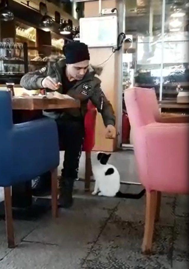 Acıkan kedi, pastanedeki m&uuml;şteriden b&ouml;yle yiyecek istedi 3