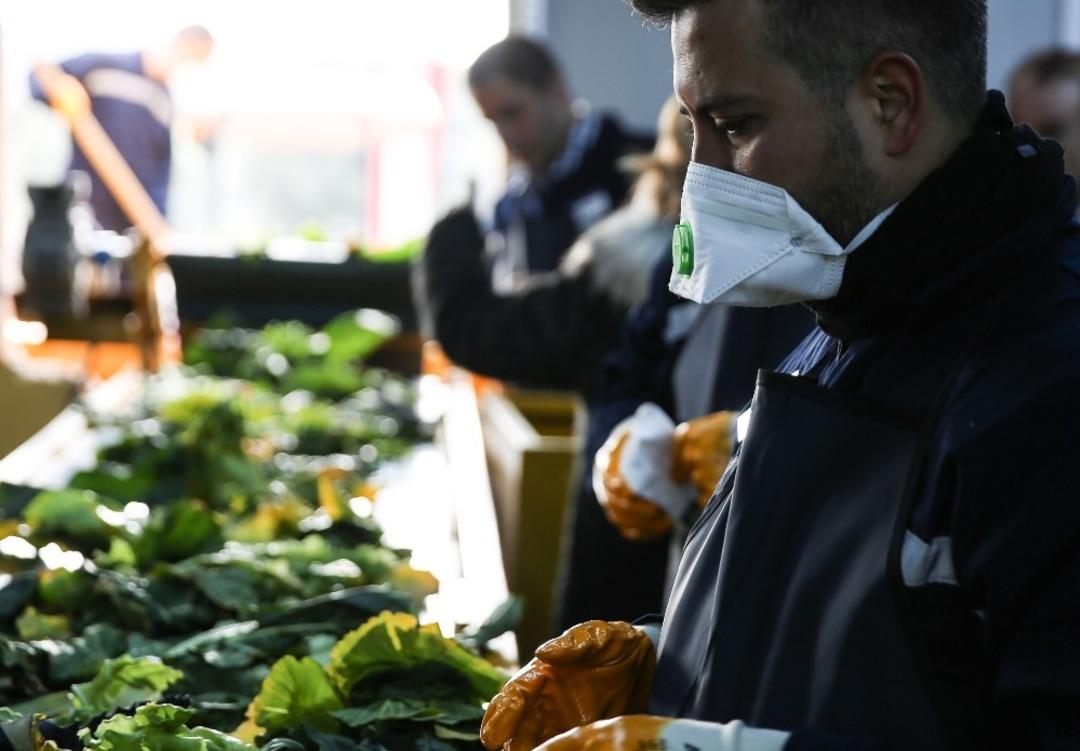 Belediyeden kompost ve solucan g&uuml;bre tesisi ile engellilere iş kapısı