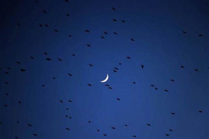 Kırklareli'nde şaşırtan görüntü... İzleyenler hayran kaldı  G3