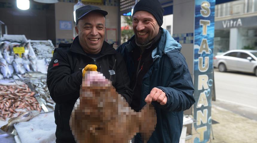 Balıkçılar yakaladı! Görenler şaşkına döndü