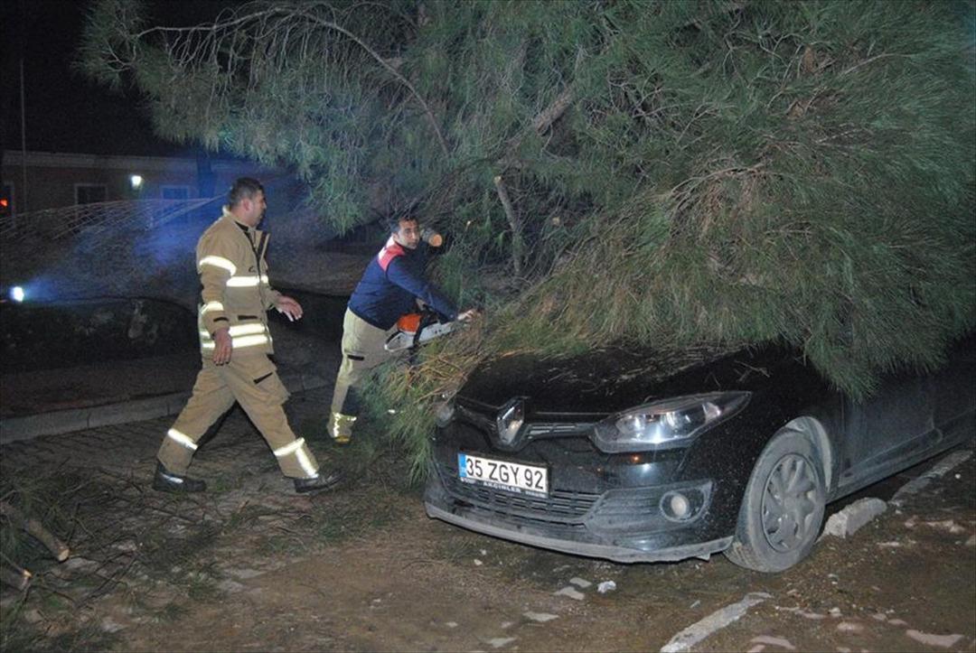20 metrelik &ccedil;am ağacı otomobilin &uuml;zerine devrildi 