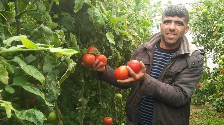 Sökeli pazar esnafından tanzim satış yeri uygulamasına eleştiri