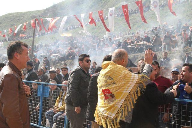 Deve güreşi tutkunları Kuyucak’ta buluştu