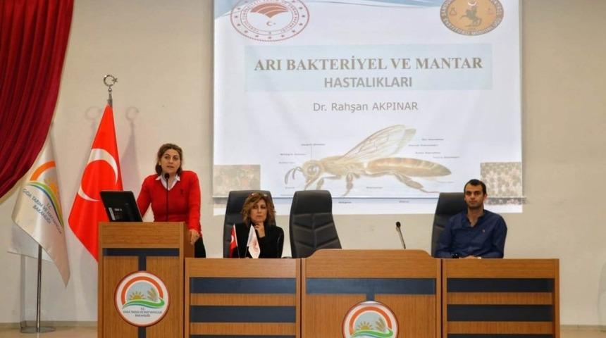 Arı yetiştiricileri arı hastalıklarına karşı bilgilendirildi