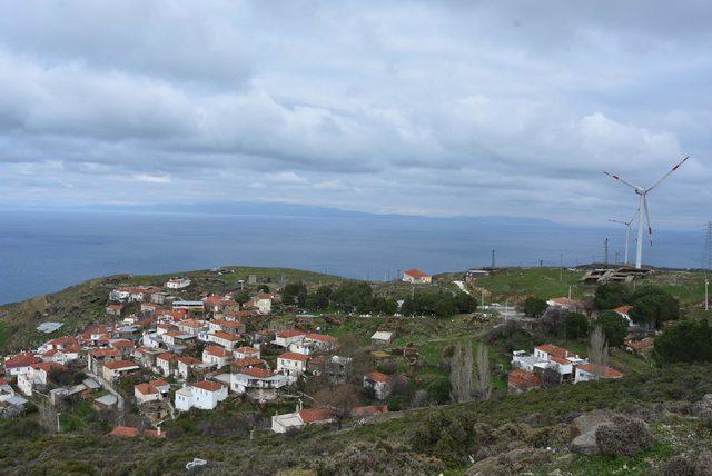 Karaburun'da kurulan RES'ler, kıl keçilerinin otlak alanlarını bitirdi