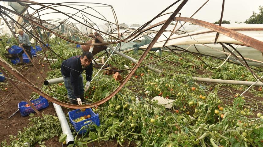 Antalya'daki hortum felaketinde zarar 100 milyon lirayı aşkın