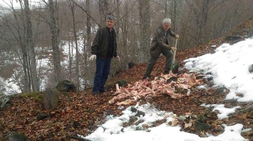Ordu&rsquo;da yaban hayvanları i&ccedil;in doğaya yem bırakıldı