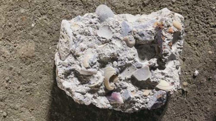 Skandal! Hepsi Kartal'daki çöken binanın enkazından çıktı G2