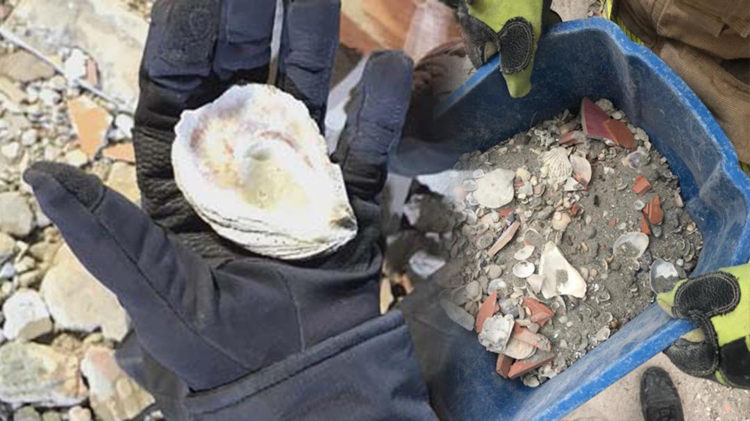 Skandal! Hepsi Kartal'daki &ccedil;&ouml;ken binanın enkazından &ccedil;ıktı