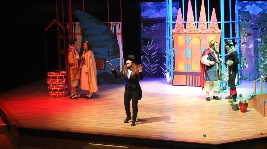 Bodrumlu &ccedil;ocuklar &lsquo;&Ccedil;izmeli Kedi&rsquo;yi &ccedil;ok sevdi