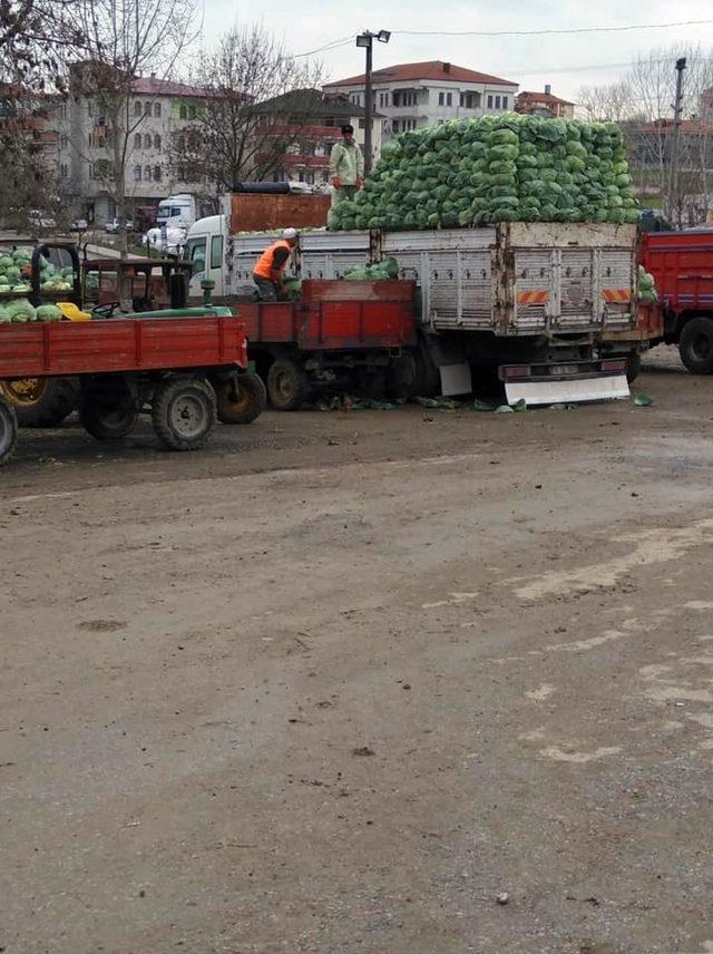 Lahana fiyatı üreticinin yüzünü güldürüyor