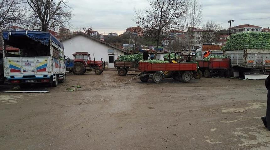 Lahana fiyatı üreticinin yüzünü güldürüyor