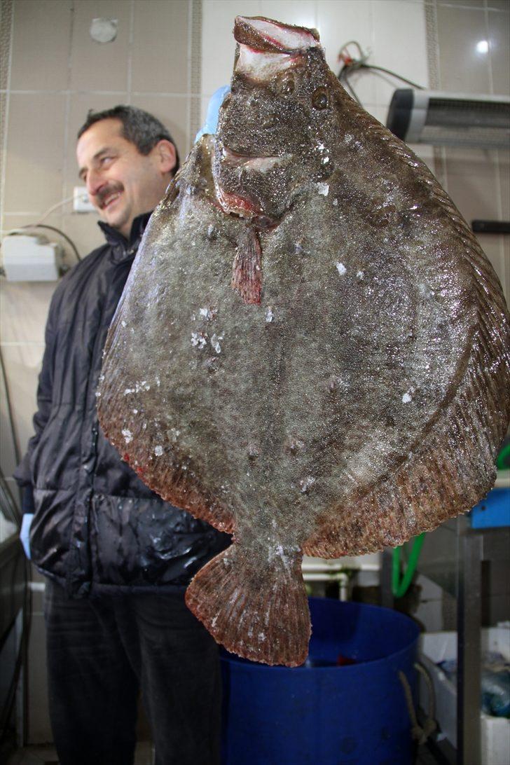 5 kilosu 750 liraya satıldı! Gören dönüp bir daha baktı G3