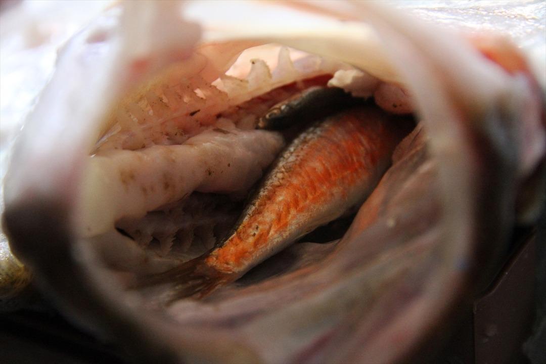 5 kilosu 750 liraya satıldı! G&ouml;ren d&ouml;n&uuml;p bir daha baktı