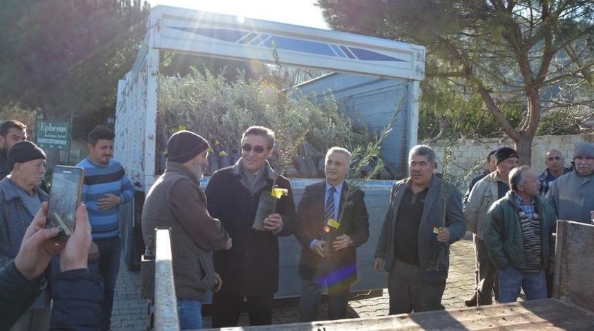 Kuşadası&rsquo;nda 8 bin 600 zeytin fidanı dağıtıldı
