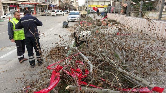 Bursa Valiliği’nden fırtına uyarısı