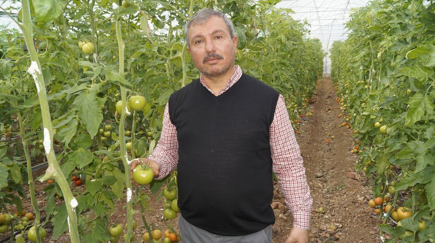 Halci ve üretici yüksek maliyet ve vergilerden yakındı