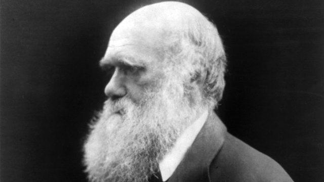 Darwin: Bir saatini heba etmeyi göze alan bir insan, hayatın değerini kavrayamamıştır