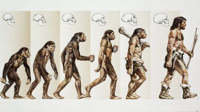 Modern insanın ve kafatasının evrimi