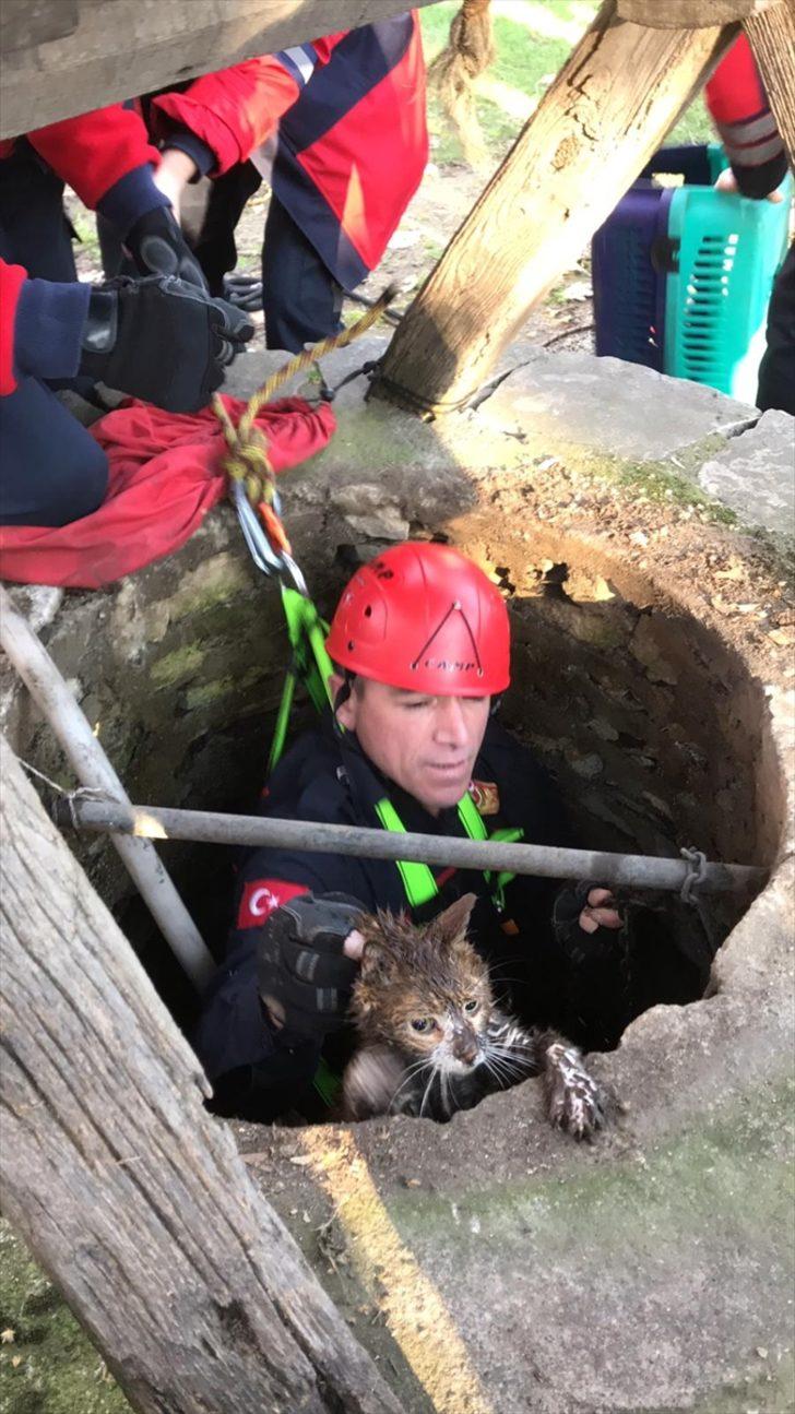 Kuyuya düşen yavru kedi kurtarıldı  G1